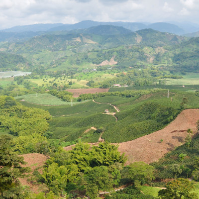 Eje cafetero, where most of the colombian coffee comes from, Colombia, South America