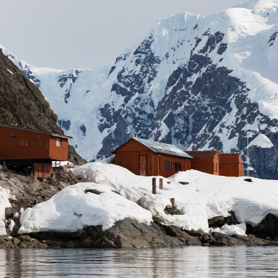 Southern Ocean Adventures: Falklands, South Georgia and Antarctica