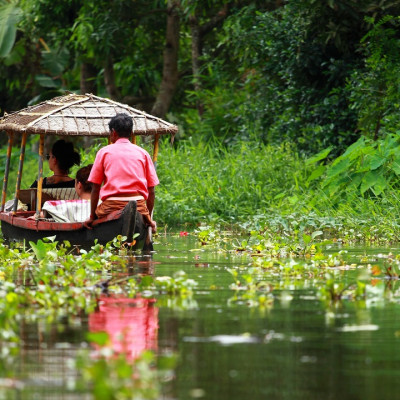 Palm tree tropical forest in backwater of Kochin, Kerala, India