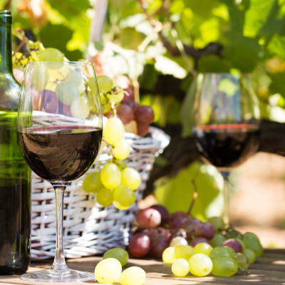 Enchanting Travels Spain Tours Wine
