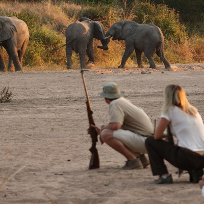 Enchanting Travels - Tanzania Tours - Ruaha Hotel - Jongomero - Get upclose and personal with walking safaris at Ruaha