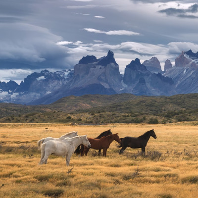 Enchanting Travels Torres del Paine National Park, Patagonia, Chile