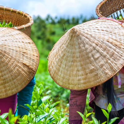 Sicherheit in Vietnam: Vietnams Bevölkerung ist freundlich und hilfsbereit