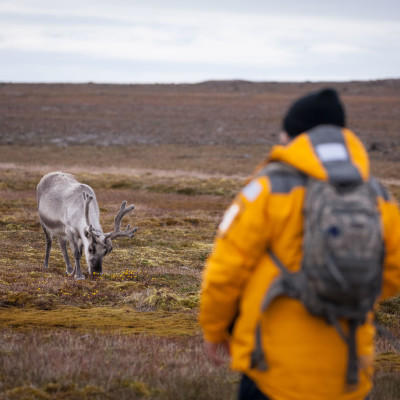 Svalbard Explorer: Die Highlights der norwegischen Arktis