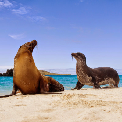 Galapagos Reise