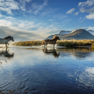 Iceland Vacation