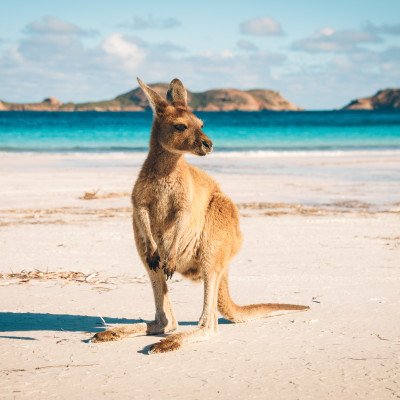 Australia: Luxury Down Under