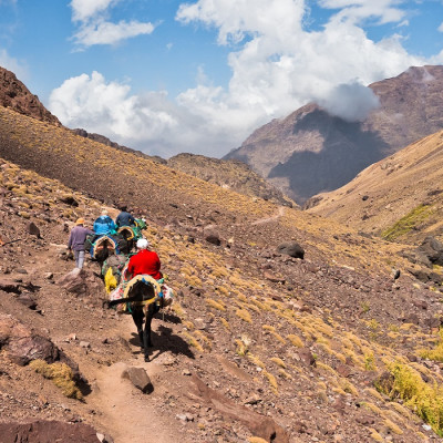 Mule riding on a track in Toubkal National Park at High Atlas mountains, Morocco, North Africa - things to do in Morocco