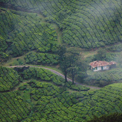 Kerala: Temples, Traditions and Beach