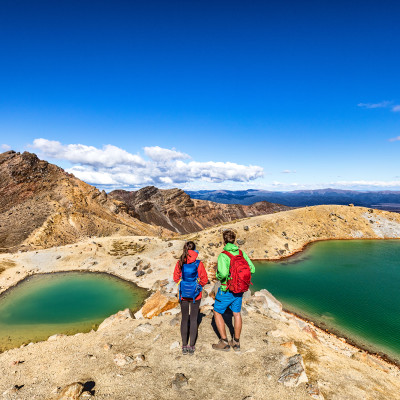 Neuseeland Roadtrip: Naturwunder, Wein und Strand