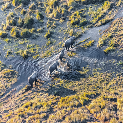 Botswana und Simbabwe: Wasserfälle und wilde Tiere