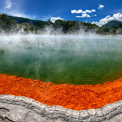 New Zealand: Highlights