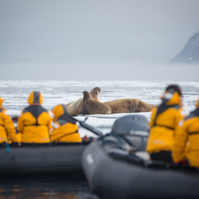 Svalbard Explorer: Die Highlights der norwegischen Arktis