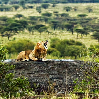 Lakeside Luxury and Wildlife in Tanzania
