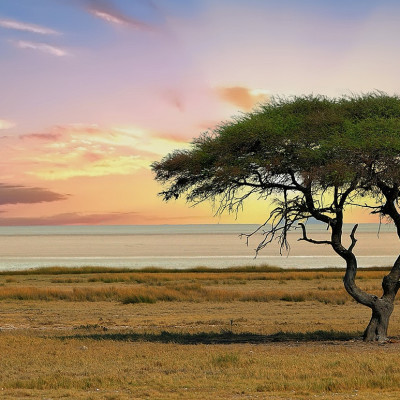 Namibia Roadtrip: Die Höhepunkte des Nordens