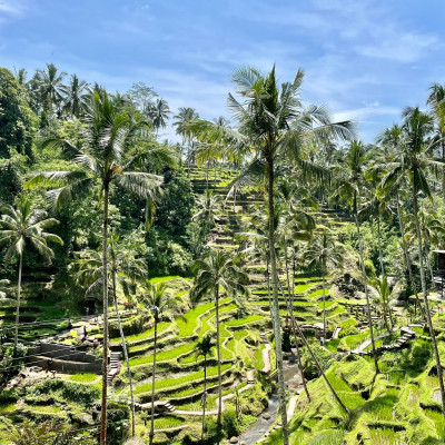 Indonesien: Kultur & Natur auf Java, Borneo und Bali