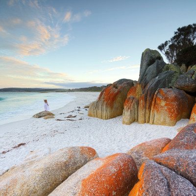 Best trips to take in 2020