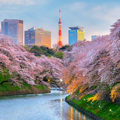 Tokyo