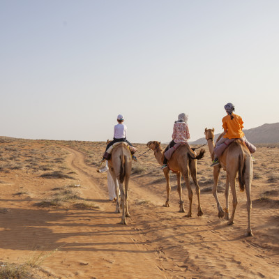 Walking with camels in desert of oman