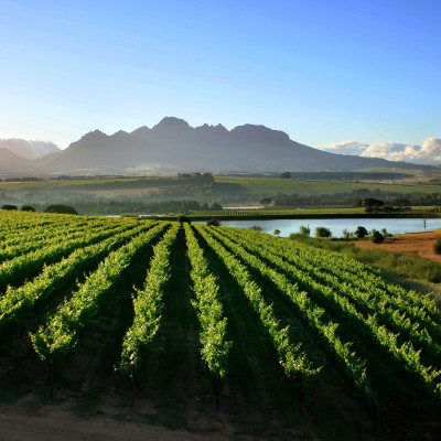 South Africa and Lesotho: Landscapes and Wildlife