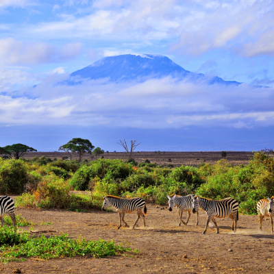 Tansania, Botswana und Sambia: Safaris und Victoriafälle