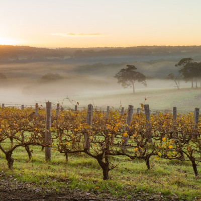 Australia: Spotlight on the Southwest