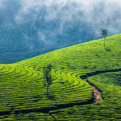 Karnataka Explored: Heritage and Landscapes
