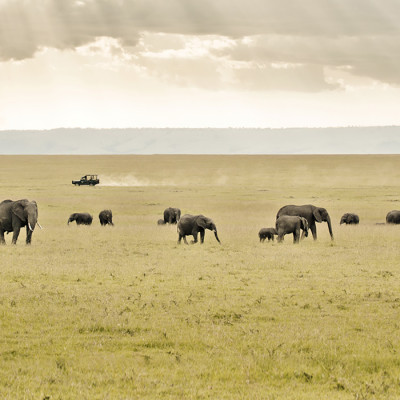 Tailor-made vacation in Africa