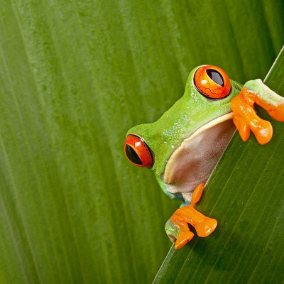 Costa Rica Reiseführer