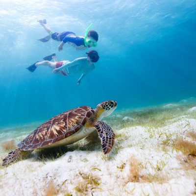 south-america-ecuador-galapagos