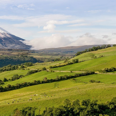 Landschaft in der Cotopaxi Region