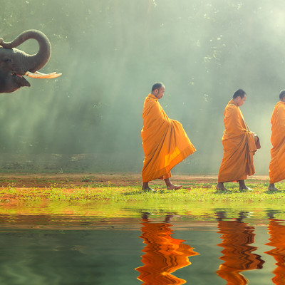 thailand-monk-elephant