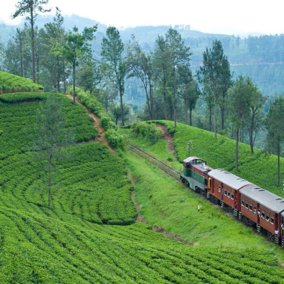 Train ride in Sri Lanka