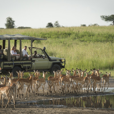 Safari in Nord-Tansania und Inselauszeit auf Sansibar
