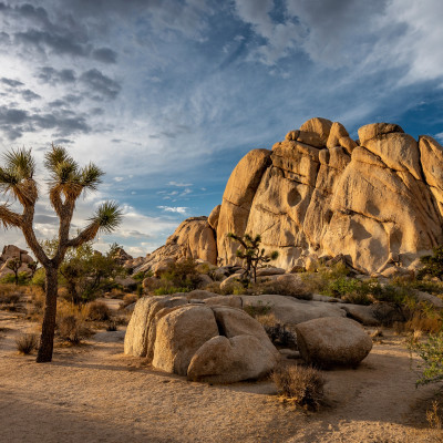 Roadtrip: Nationalparks im Westen der USA