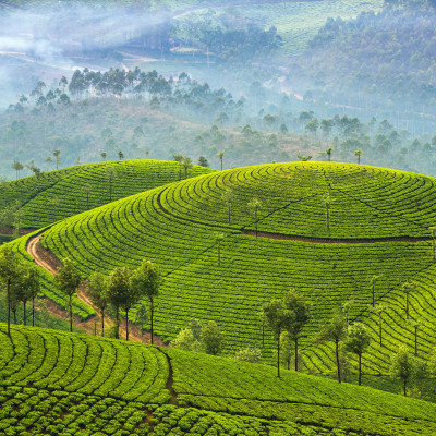 Highlights of Kerala and Maldives