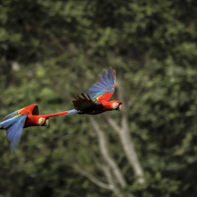 Peru: Machu Picchu, Amazonas & Heiliges Tal der Inka