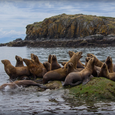 Alaskas landschaftliche Höhepunkte: von Denali bis Kenai Fjords