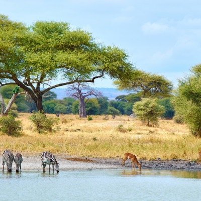 Tanzania