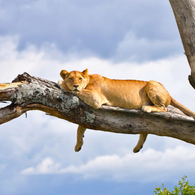 Highlights of Northern Tanzania