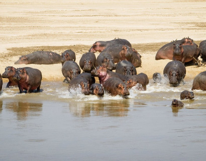 Sambia Safari: weite Landschaften und wilde Tierwelt