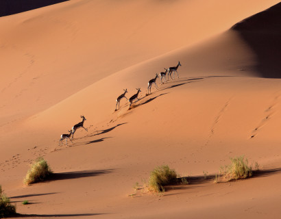 Namibia Roadtrip: Die Höhepunkte des Südens