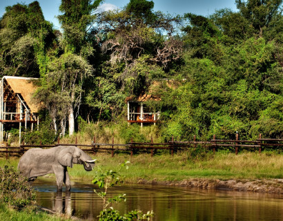 Safarireise: Das wilde Herz Botswanas