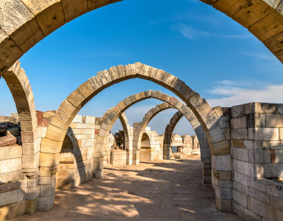 Gujarat and Rajasthan: Culture and Wildlife