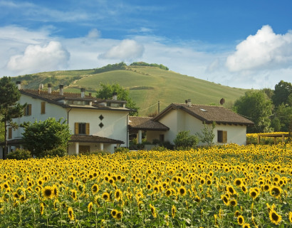Italy, Under the Tuscan Sun