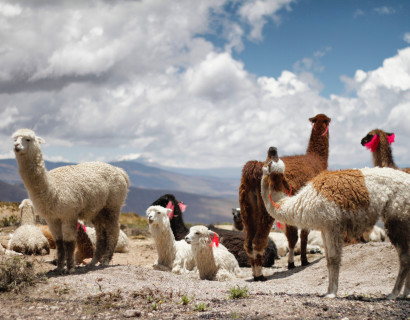 Peru: Highlights of the North