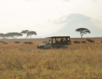 Northern Tanzania Safari and Zanzibar