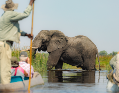 Botswana Safarireise: vom Okavango Delta in die Kalahari-Wüste