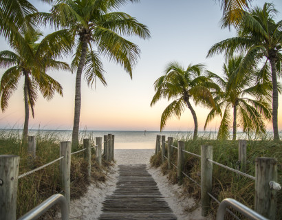 Schmelztiegel New York und Floridas tropischer Südosten