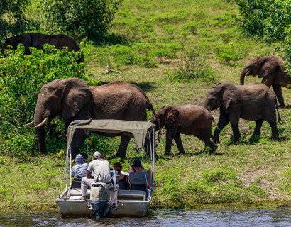Chobe und Okavango: Botswanas magische Wasserwelten